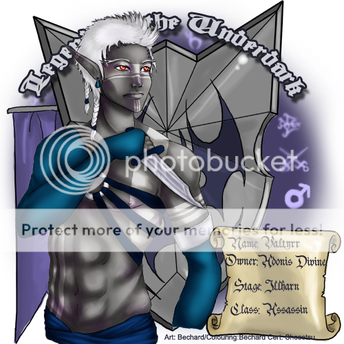 User Image